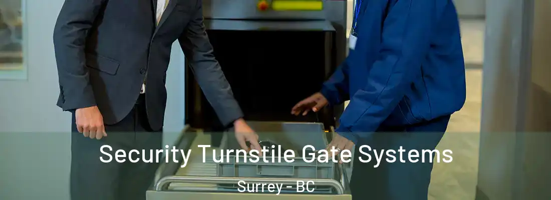  Security Turnstile Gate Systems Surrey - BC