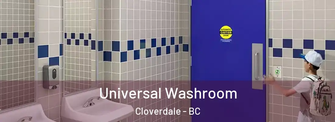  Universal Washroom Cloverdale - BC